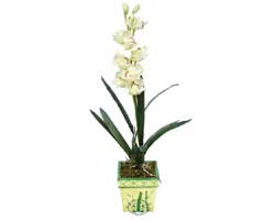 zel Yapay Orkide Beyaz   stanbul iek sat 