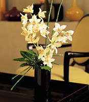  stanbul 14 ubat sevgililer gn iek  cam yada mika vazo ierisinde dal orkide