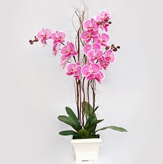  stanbul iek maazas , ieki adresleri  2 adet orkide - 2 dal orkide