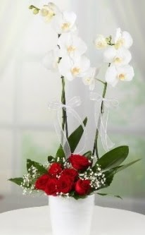 2 dall beyaz orkide 7 adet krmz gl  stanbul gvenli kaliteli hzl iek 