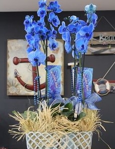 4 dall zel mavi orkide  stanbul hediye sevgilime hediye iek 